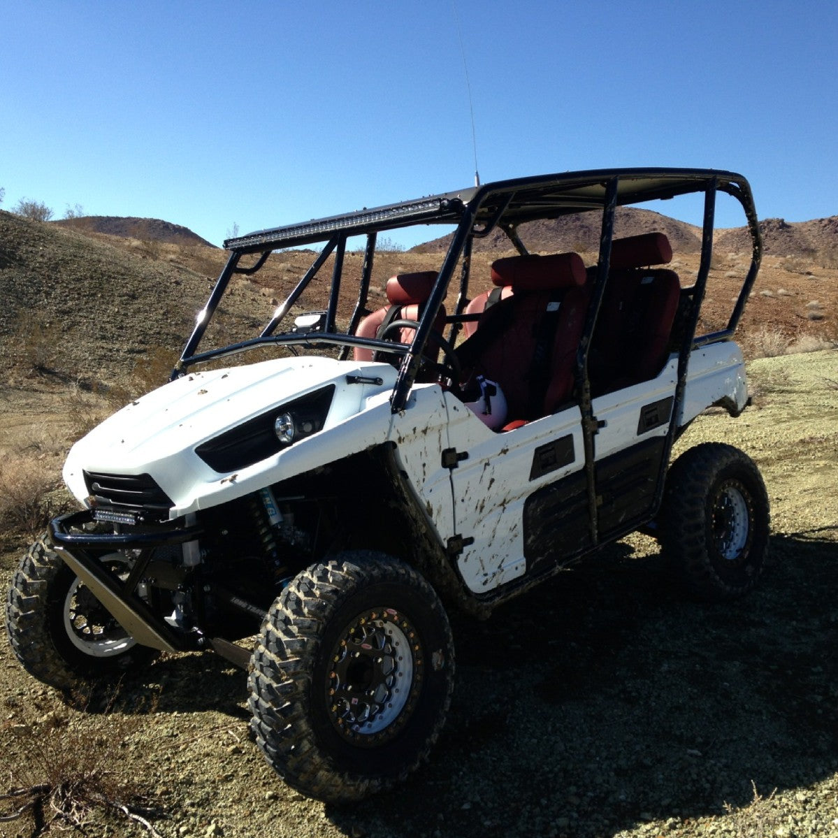 Kawasaki Teryx 4 Cage