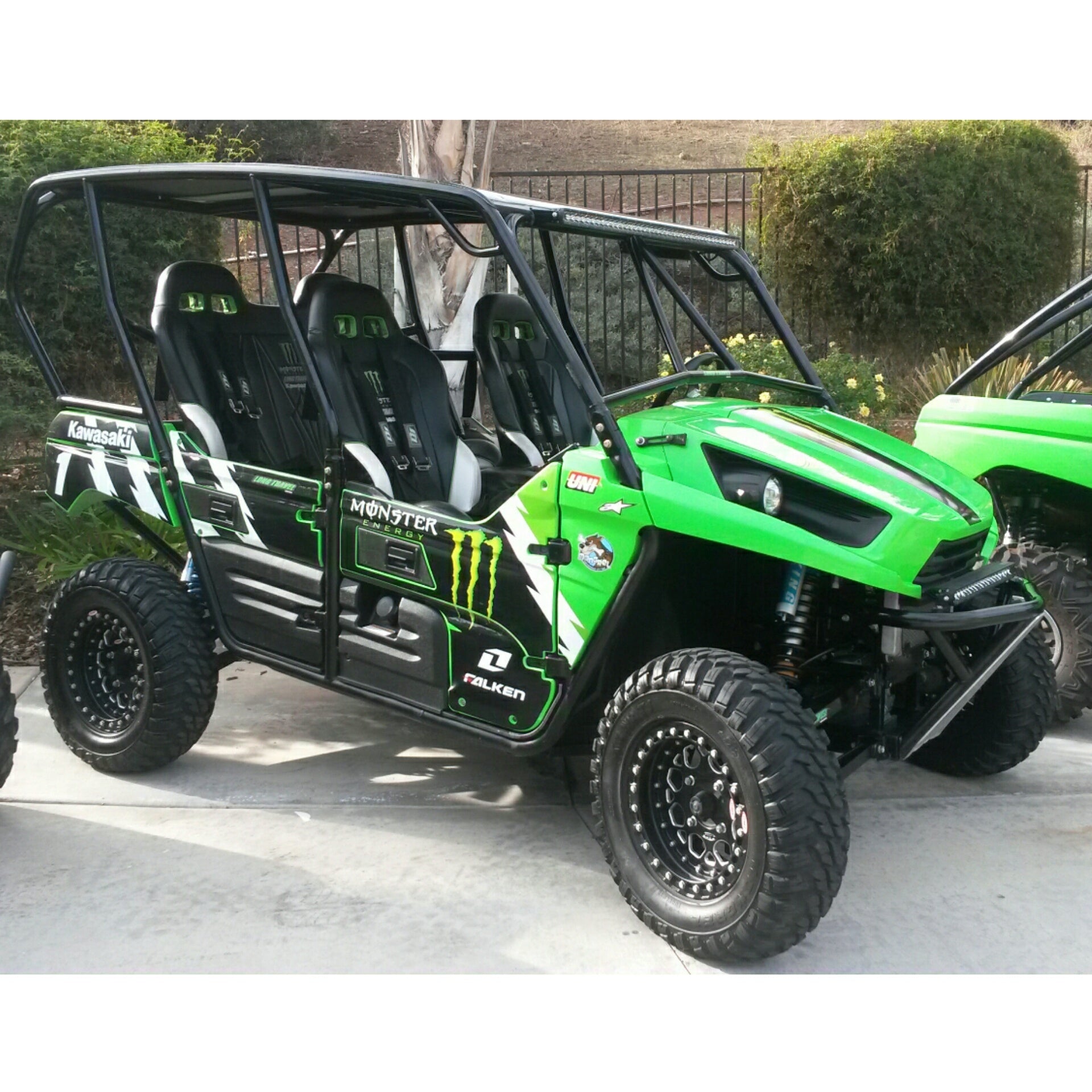 Kawasaki Teryx 4 Cage